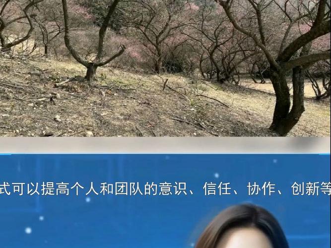 户外拓展体验式培训策划 体验式拓展活动及策划全案